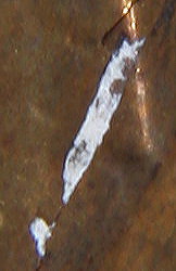1944-D-Lamiination-&-DDR?